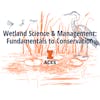 Wetland Science & Management: Fundamentals to Conservation Specialization